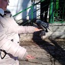 ���� �����, ������, 44 ���� - ��������� 30 ����� 2015 � ������ ���� ����������