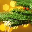 ���� ����, ����������� - ��������� 25 ������� 2014 � ������ ���������� ������