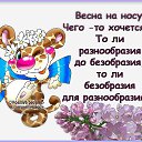 ���� ������, ������ - ��������� 7 ����� 2015 � ������ ������ ��������