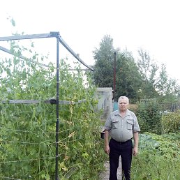 ������, ������, 70 ���