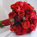 ���� �����, �����, 36 ��� - ��������� 11 ������� 2015 � ������ ���� ����������