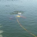 ���� ��������, ���, 52 ���� - ��������� 10 ������ 2015 � ������ ������ ��������