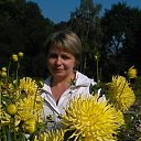 ���� ����, �����������, 52 ���� - ��������� 25 ������ 2015