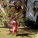 ���� �������, ��������, 61 ��� - ��������� 19 ������ 2015 � ������ ���� ����������