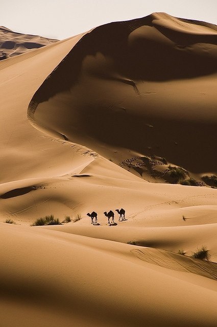    -   (Sahara Desert).     .   ... - 7