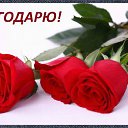 ���� ������, ��������� - ��������� 17 ������� 2015 � ������ �������� ��������