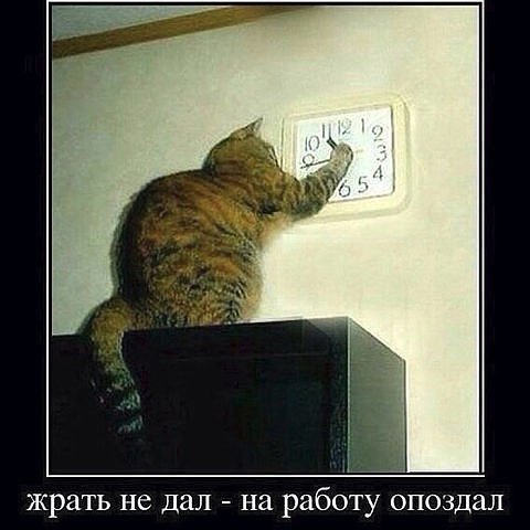  - 2  2015  14:16
