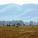 ������� �� ������� ���� ����� ������� ..�