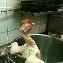 ���� �����, ������� �����-7, 54 ���� - ��������� 15 ������ 2015 � ������ �������.�