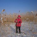 ���� �����, �����-���������, 72 ���� - ��������� 22 ������ 2015 � ������ ���� ����������