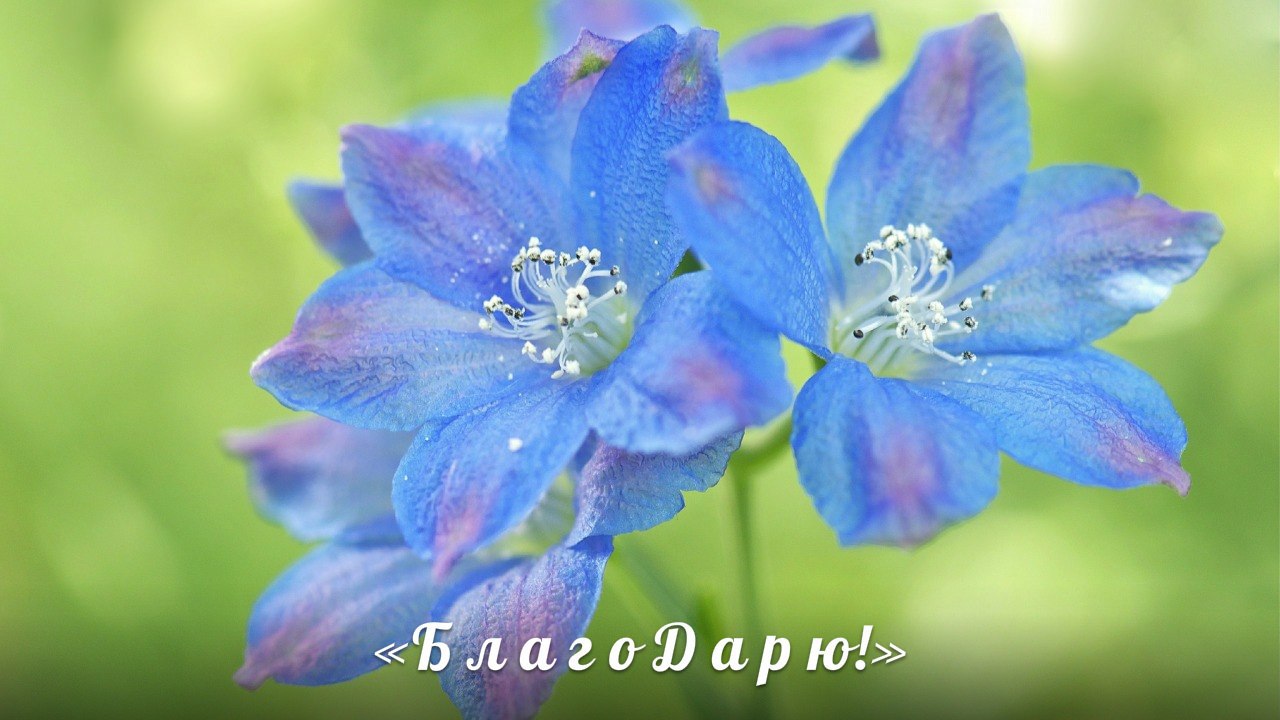 Я благодарна каждому в судьбе –.И друг иль враг мне? Разве важно кто ты?Известно, в ней случайных ...