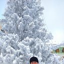 ���� ����, �����-���������, 68 ��� - ��������� 27 ������ 2015