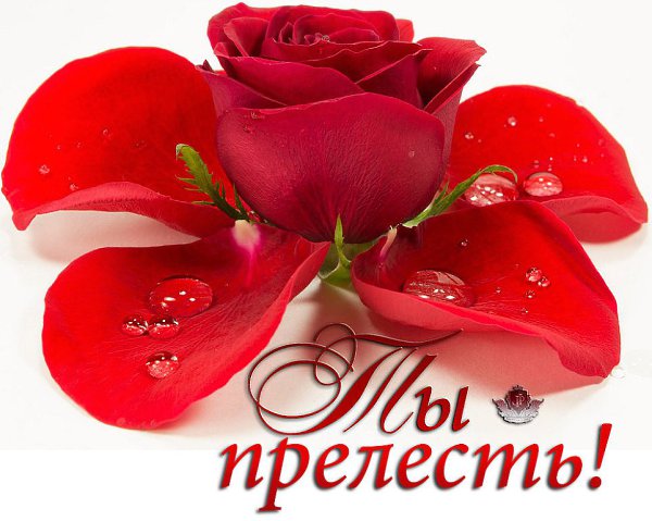 Можно, я просто побуду рядом? Молча, без ярких красивых слов. Нам ведь и взглядов уже не надо, ...
