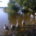 ���� Wyoleta, �������, 51 ��� - ��������� 15 ������� 2015