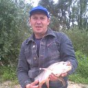 ���� �����, ������, 49 ��� - ��������� 1 ������� 2015 � ������ ���� ����������