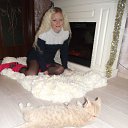 ���� �������, ��������, 42 ���� - ��������� 18 ������� 2015 � ������ ���� ����������