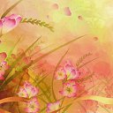 ���� Amina, ���� - ��������� 4 ������ 2015 � ������ �Avataria�