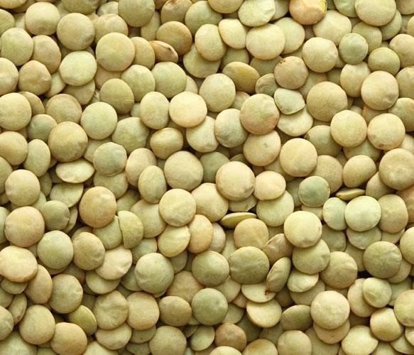 .        .   200   ... - 6