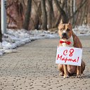 ���� ����������, ��������, 60 ��� - ��������� 8 ����� 2015 � ������ ������ ��������