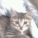 ���� ������� (70), �������� - ��������� 5 ������ 2015 � ������ ���� ����������