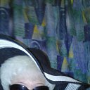 ���� ������, ������-��-����, 57 ��� - ��������� 23 ������ 2015 � ������ ���� ����������