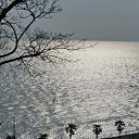 ���� Sveta, ���� - ��������� 7 ������ 2015 � ������ ������� 2015.����.�