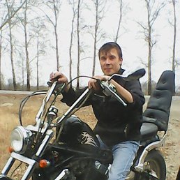 �����, ���������, 38 ���