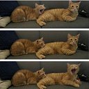 ���� ������� ���������, ������ - ��������� 5 ������� 2015 � ������ ������ ��������