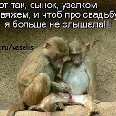 ���� ����� �., ������������, 61 ��� - ��������� 3 ������ 2015 � ������ ������ ��������