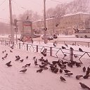 ���� Ll, ������ - ��������� 3 ������ 2015 � ������ ���� ����������