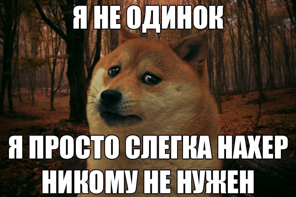  - 16  2015  13:43