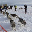 ����� �� �������� �������� �� ������� ���� ����������