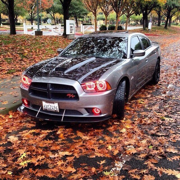 Dodge Charger R/T