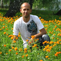 �����, �����������, 45 ���