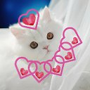 ���� �����, �����-��������� - ��������� 13 ������� 2015 � ������ ���� ����������