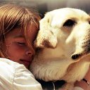 ���� �����, �������� - ��������� 23 ������ 2015 � ������ ������ ��������