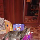 ���� ������, �����-���������, 70 ��� - ��������� 7 ������ 2015 � ������ ��������