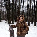 ���� �����, ����������� - ��������� 23 ������ 2015 � ������ ���� ����������