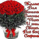 ���� ���������, ����������� ���� - ��������� 28 ������� 2014 � ������ ������ ��������