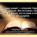 ���� Amigo!, �����-���������, 38 ��� - ��������� 29 ������� 2014 � ������ ���� ����������