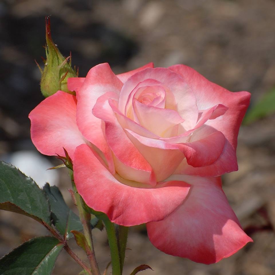  - 22  2015  09:20 - 5