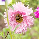 ���� ��������, ������ - ��������� 16 ������ 2015 � ������ ��������� ����� ��������