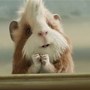  , -, 68  -  25  2014    