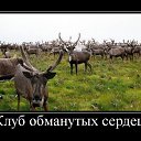 ���� Strannik, ����, 62 ���� - ��������� 15 ������� 2014 � ������ ���� ����������
