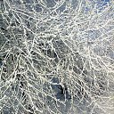 ���� �� �����,�� ������� 48, ����, 50 ��� - ��������� 31 ������� 2014 � ������ ���� ����������