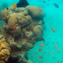 ���� Df, ������ - ��������� 30 ������ 2015 � ������ �������� ����
