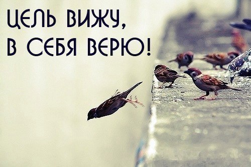 .. - 18  2015  13:03