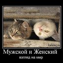 ���� ��������......., ������ ��������, 37 ��� - ��������� 13 ������� 2014 � ������ ������ ��������