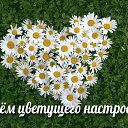 ���� �����, ����� �������, 63 ���� - ��������� 4 ����� 2015 � ������ �������� ��������