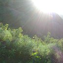  , , 47  -  7  2015     ,  2013 .